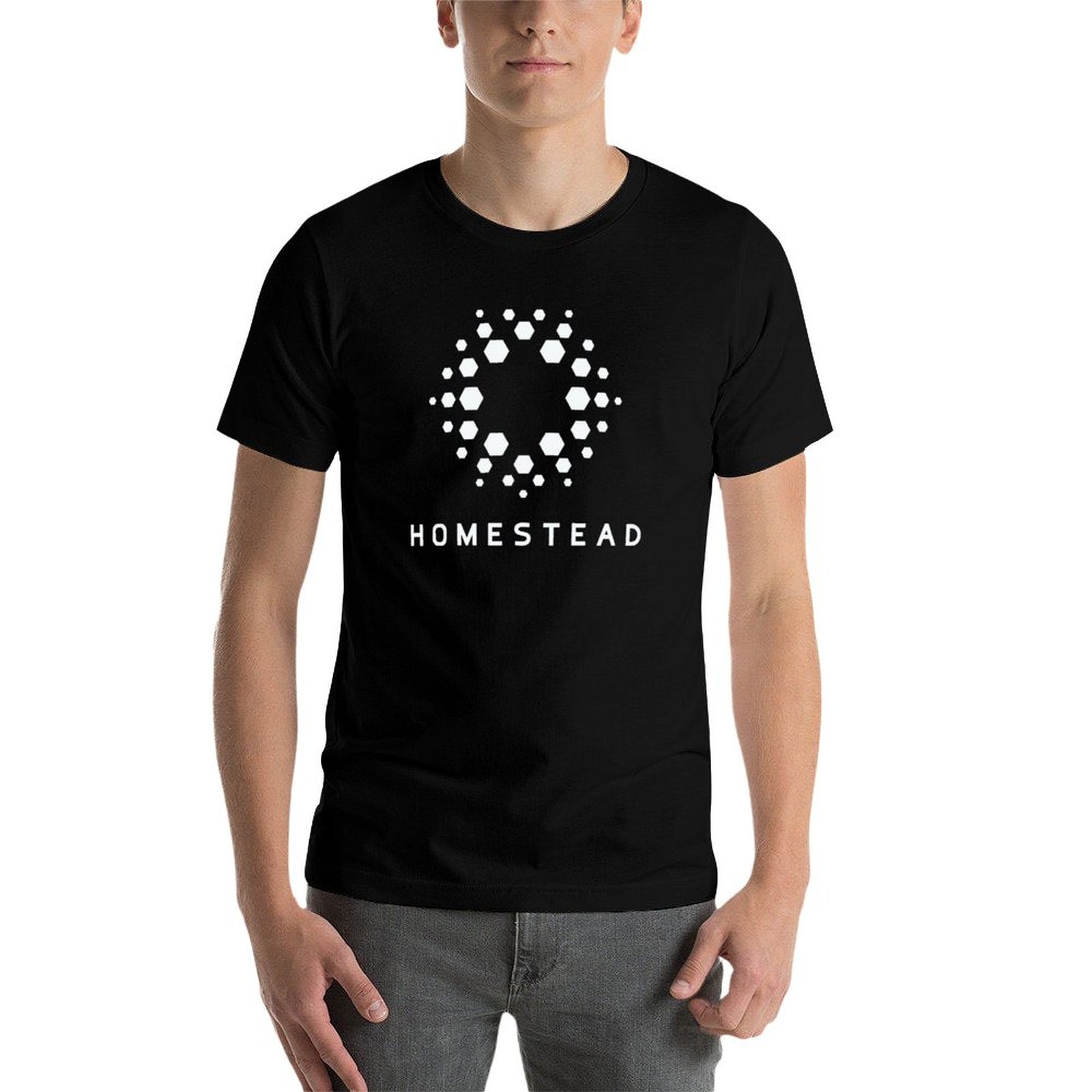 ホームステッド - パッセンジャーズ - ライト Tシャツ  - Homestead Lighting & Decor Oconomowoc のレビューと価格