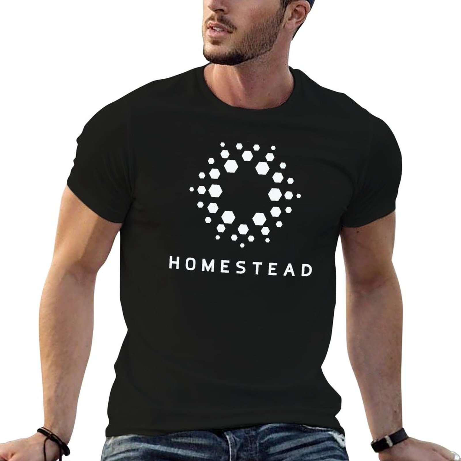 ホームステッド - パッセンジャーズ - ライトTシャツ 耐 - Homestead Lighting & Decor Oconomowoc のレビューと価格
