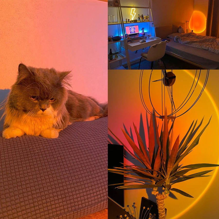 サンセットランプナイトライトマルチカラーサンセットプロジェク - Lighting Decor For Room のレビューと価格